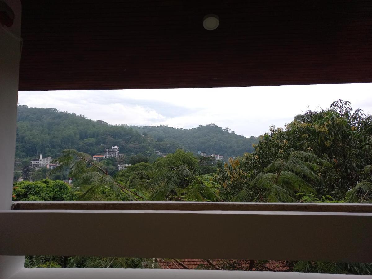 Lazy Bear Best Hostel In 캔디 외부 사진