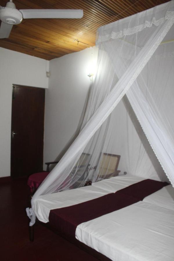 Lazy Bear Best Hostel In 캔디 외부 사진