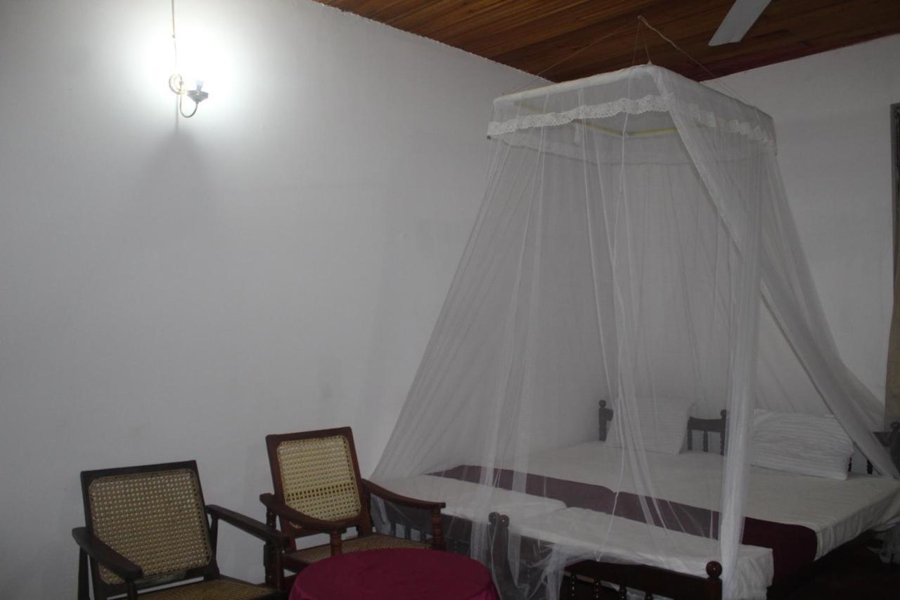 Lazy Bear Best Hostel In 캔디 외부 사진