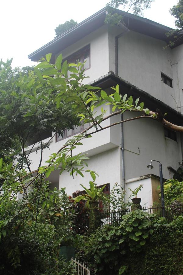 Lazy Bear Best Hostel In 캔디 외부 사진