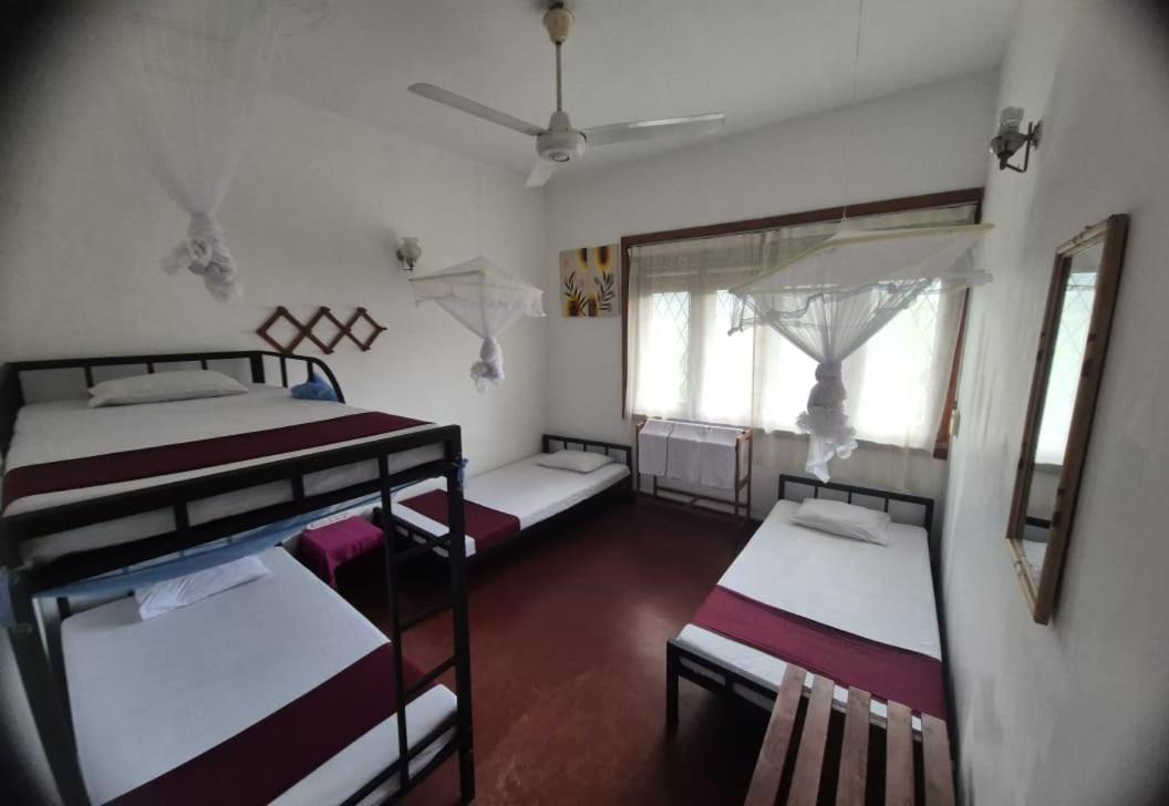 Lazy Bear Best Hostel In 캔디 외부 사진