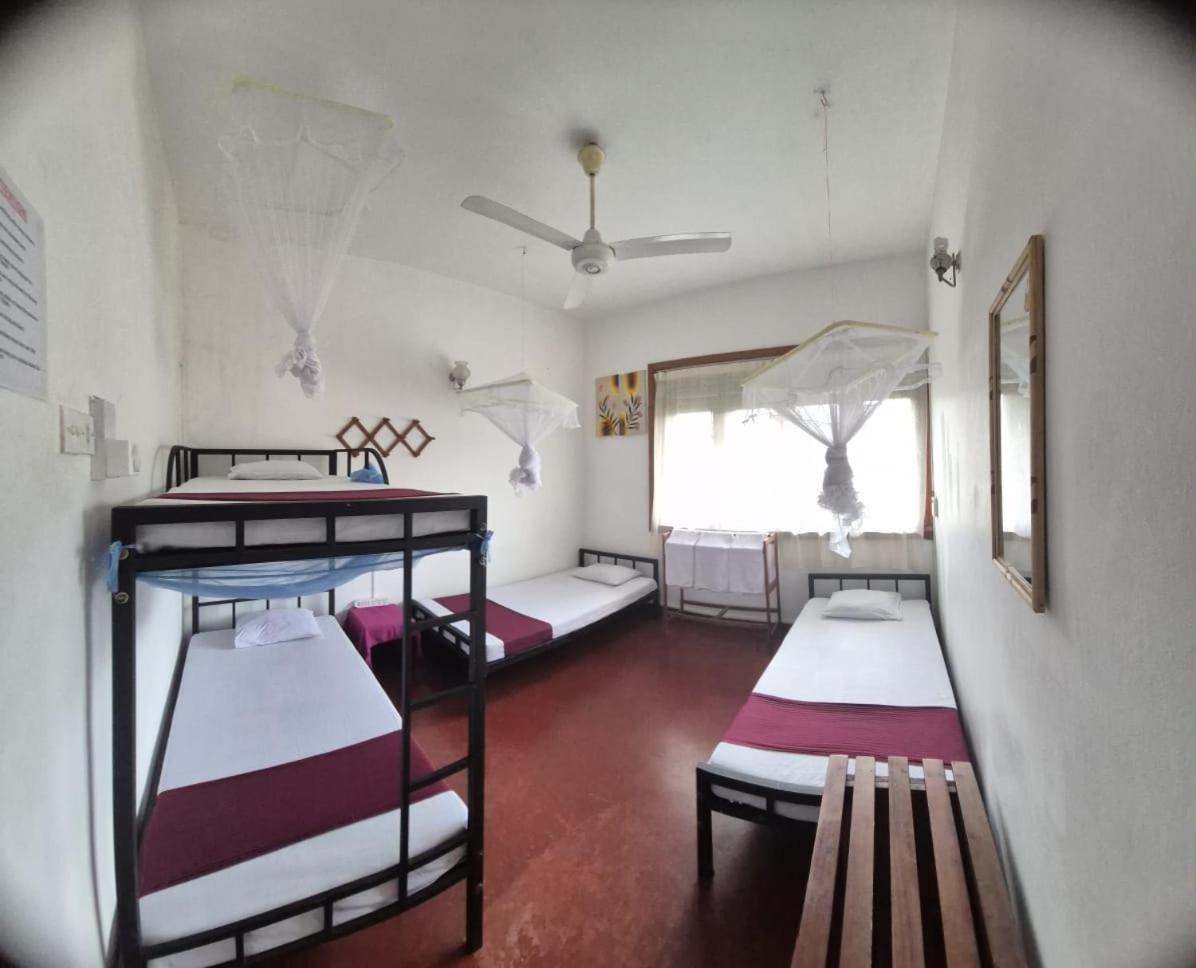 Lazy Bear Best Hostel In 캔디 외부 사진