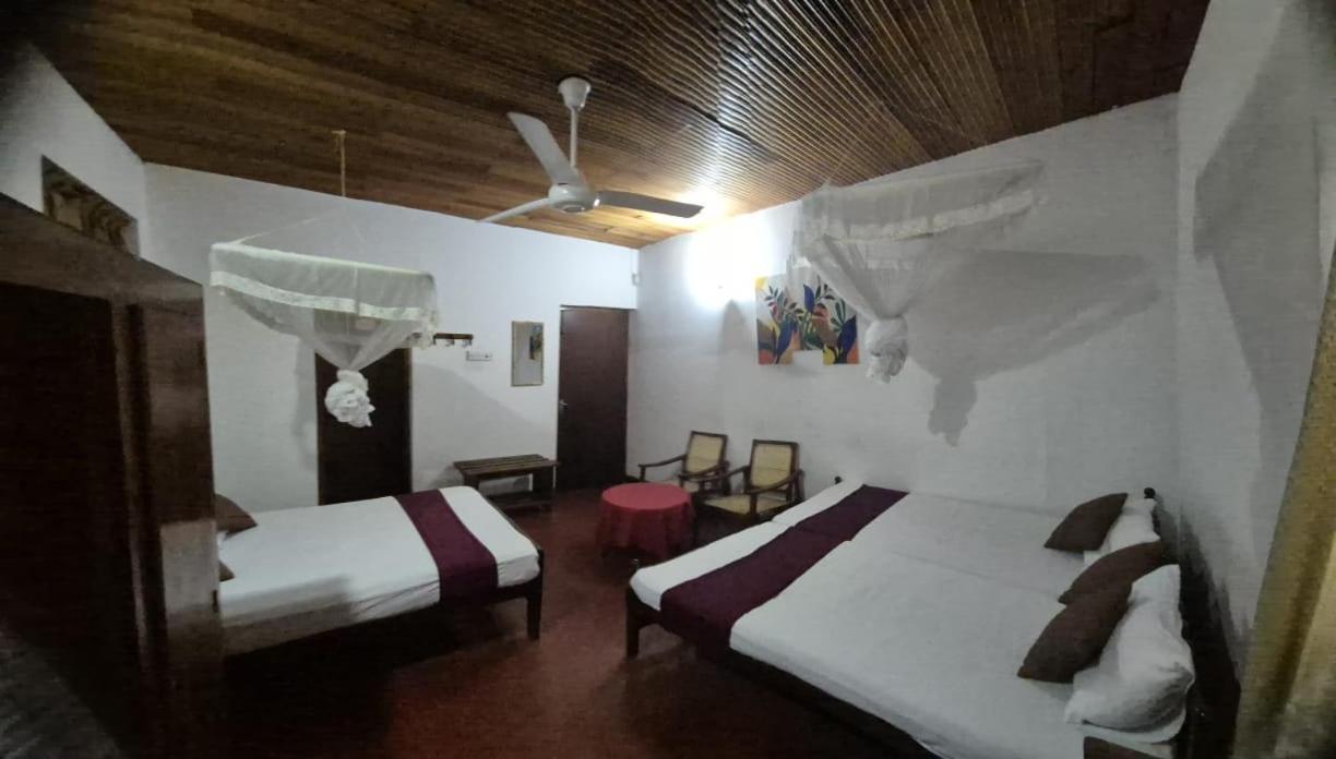 Lazy Bear Best Hostel In 캔디 외부 사진