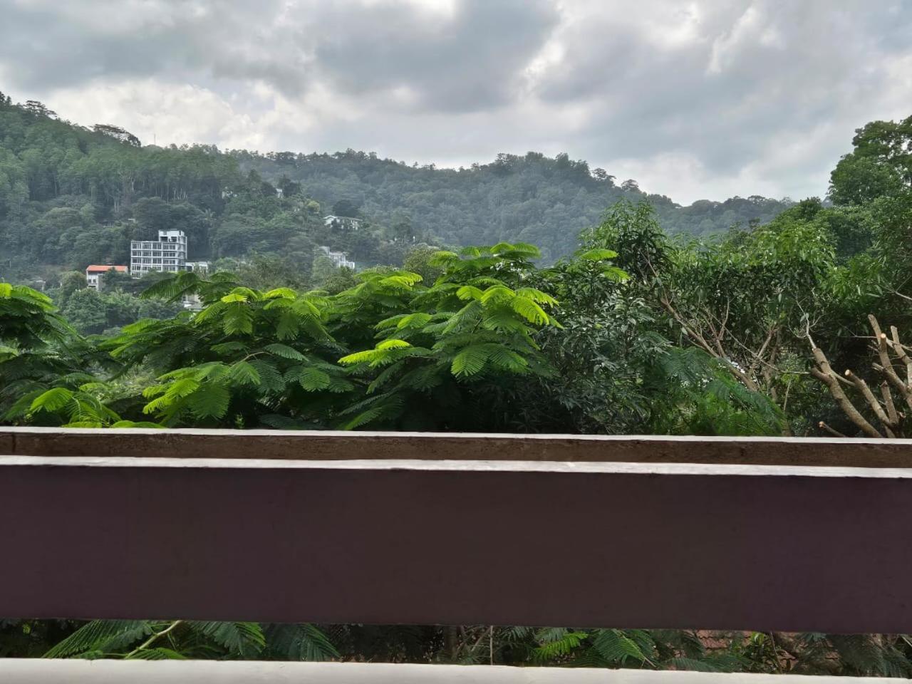 Lazy Bear Best Hostel In 캔디 외부 사진