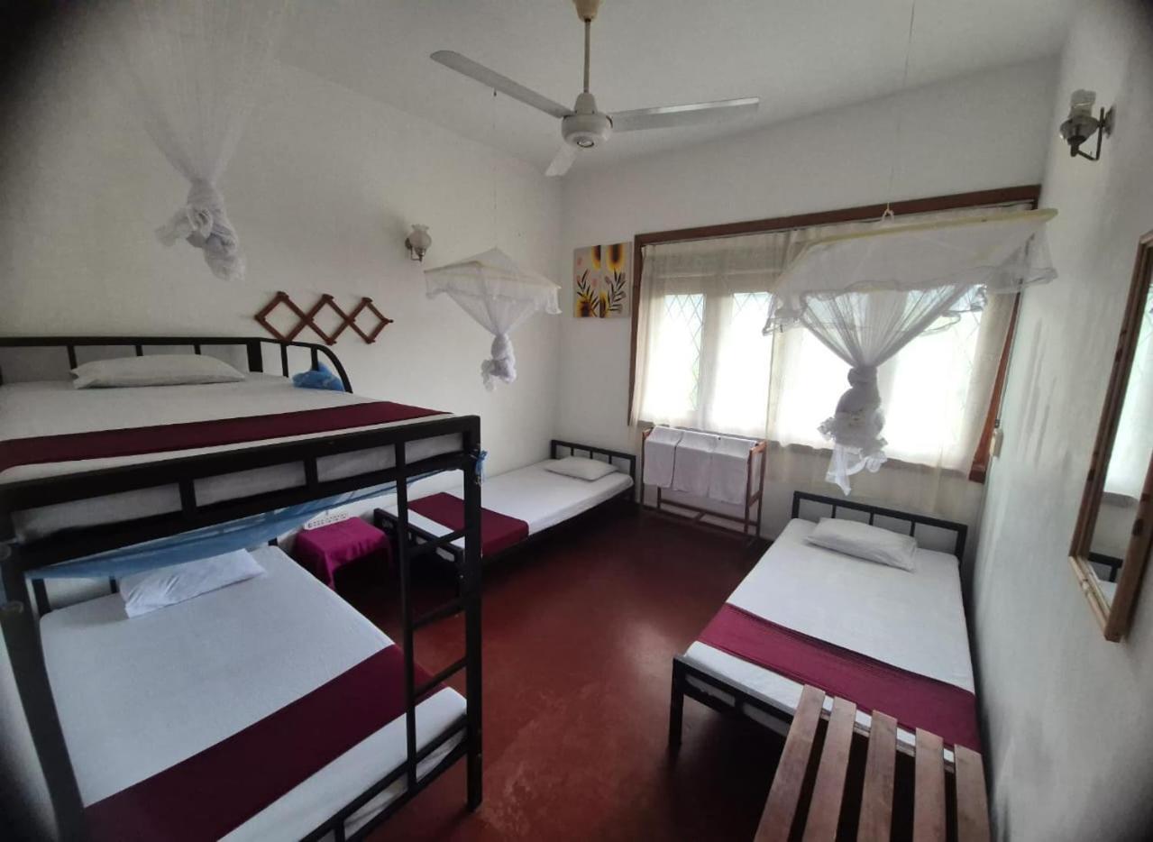 Lazy Bear Best Hostel In 캔디 외부 사진