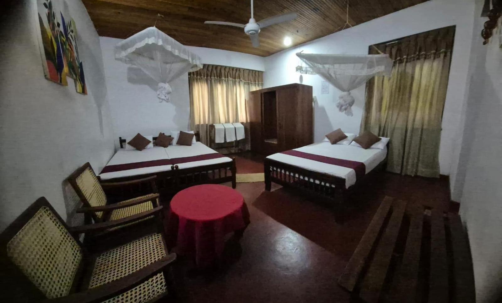 Lazy Bear Best Hostel In 캔디 외부 사진